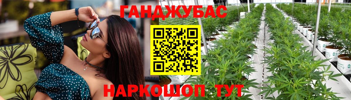 Сунжа  Конопля OG Kush  Каннабис конопля  Шишки марихуана ГИДРОПОН  Вход с VPN  МАРИХУАНА планчик 